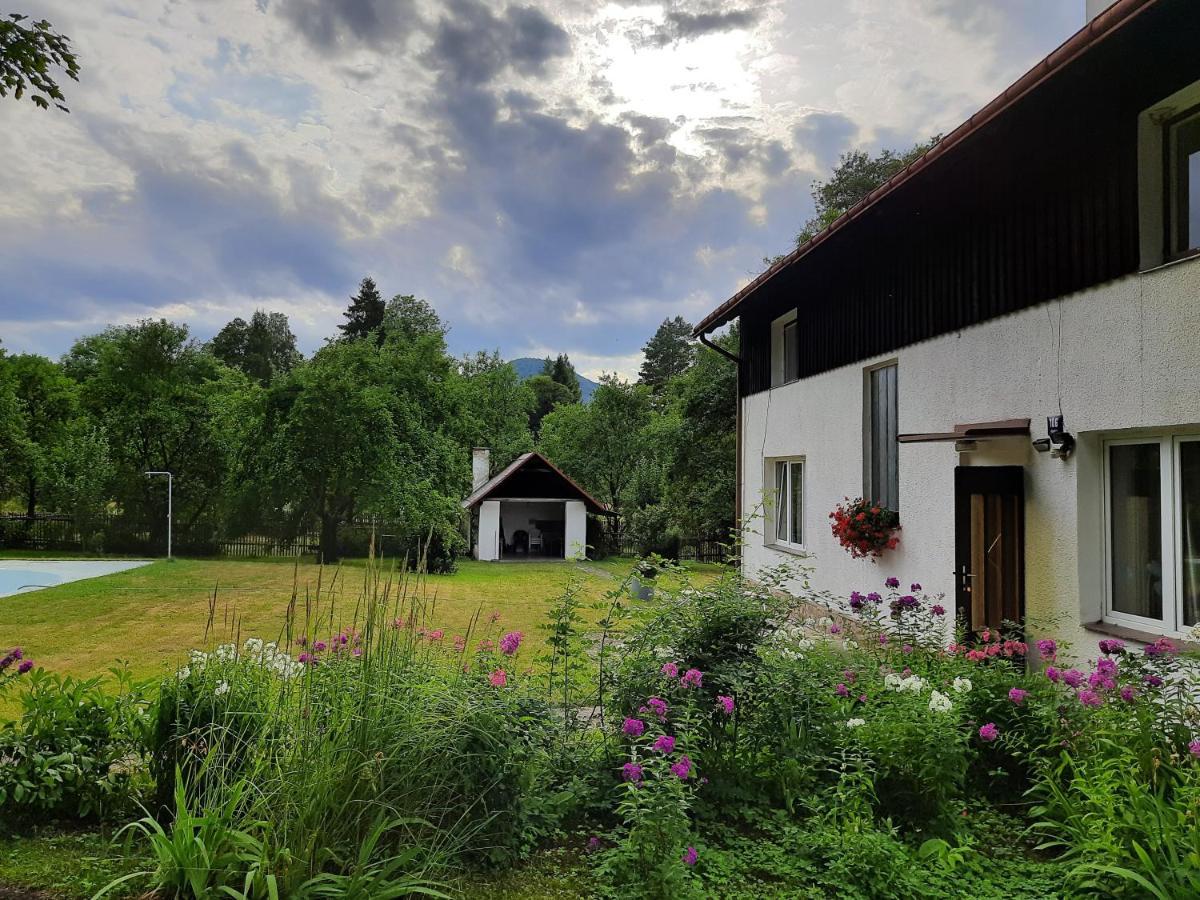 Apartmany Waldex Jetrichovice  Exterior photo